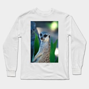 Hello I'm A Meerkat Long Sleeve T-Shirt